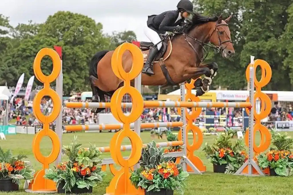 Elkie Jiménez Peters · Colaboración con Sa Caseta