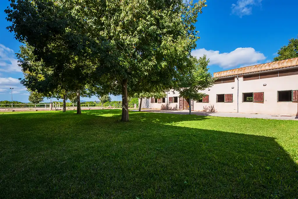 Nuestras instalaciones Sa Caseta - Hípica Manacor