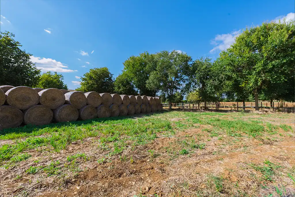 Nuestras instalaciones Sa Caseta - Hípica Manacor