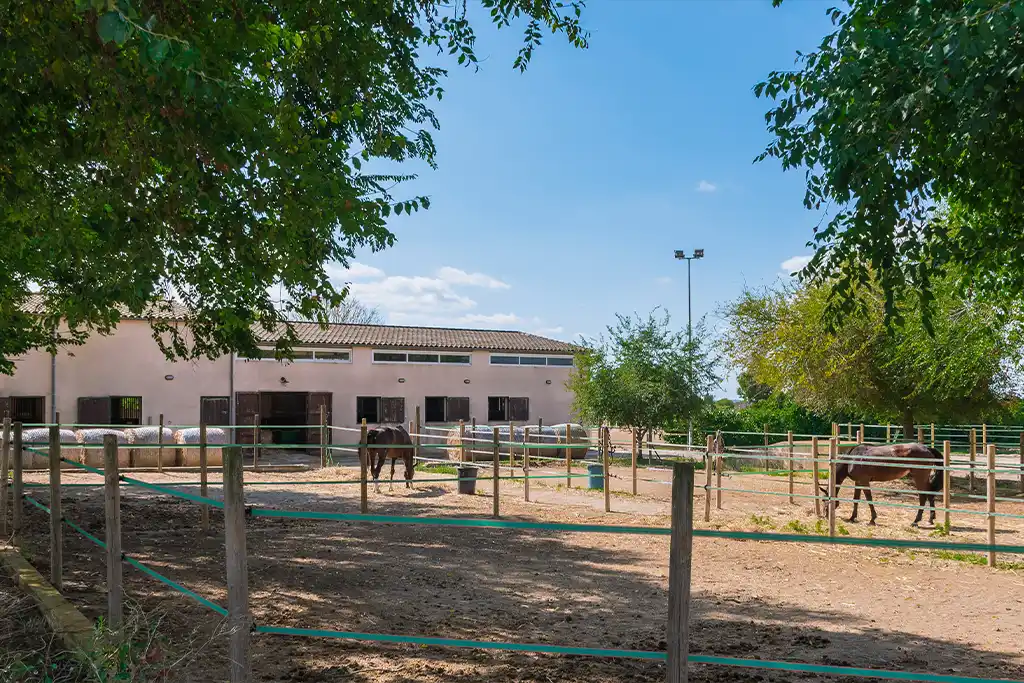 Nuestras instalaciones Sa Caseta - Hípica Manacor
